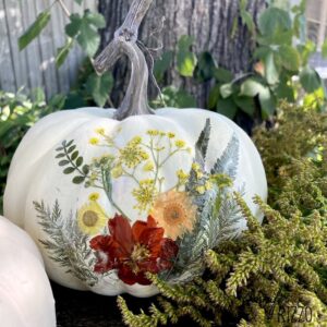 Pumpkins & Petals Workshop